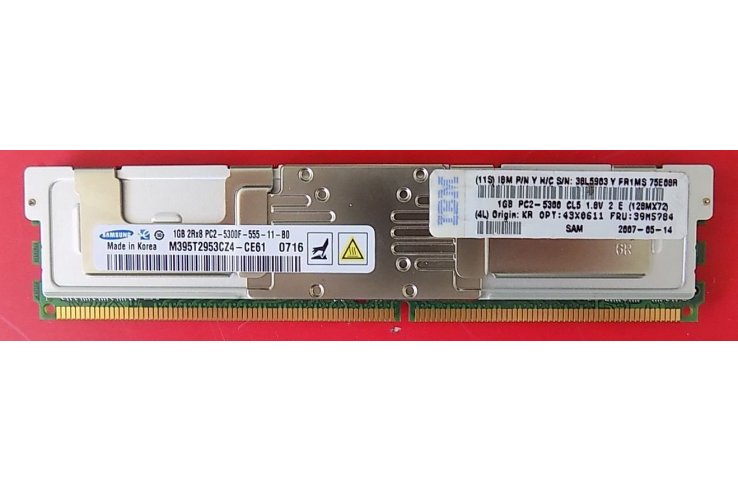 MEMORIA RAM IBM 1GB 2RX8 PC2-5300F-555-11-B0 M395T2953CZ4-CE61